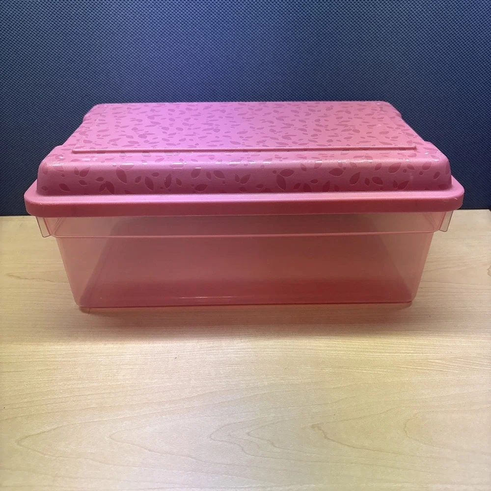 Rubbermaid Vintage Pink Clear Leaves Snap Storage Container Box Rectangle